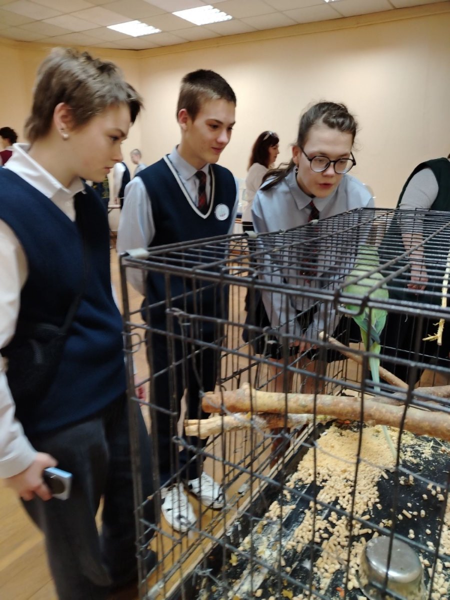 Экскурсия на выставку попугаев