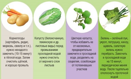 Основные правила обработки растительных продуктов.